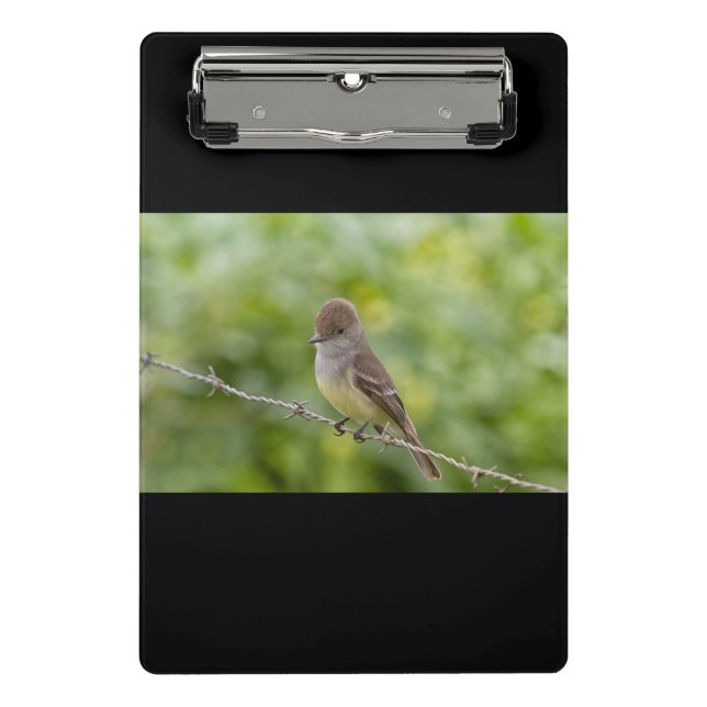 Minicarpeta De Pinza Flycatcher (Anverso)