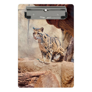 Minicarpeta De Pinza foto de leopardo nebuloso naturaleza vida silvestr