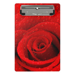 Minicarpeta De Pinza Foto del fondo del rosa rojo