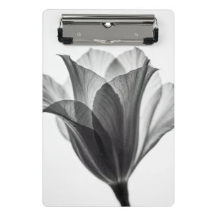 Minicarpeta De Pinza Fotografía artística botánica monocroma