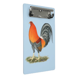 Minicarpeta De Pinza Gallo Azul Rojo Gamecock