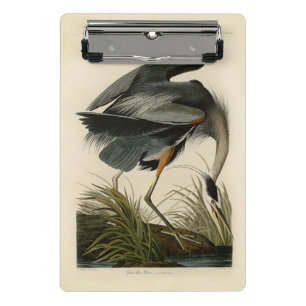 Minicarpeta De Pinza Garza azul grande de Audubon Marsh Bird