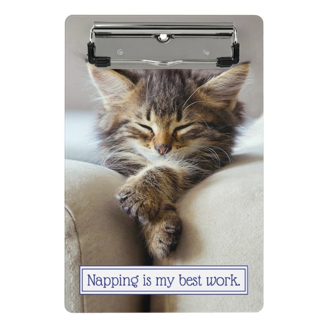 Minicarpeta De Pinza Gatito dormido (Anverso)