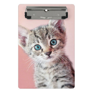 Minicarpeta De Pinza Gatito lindo con los ojos azules