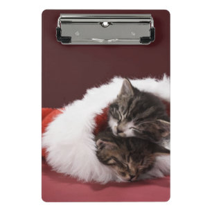 Minicarpeta De Pinza Gatitos dormidos junto en gorra del navidad