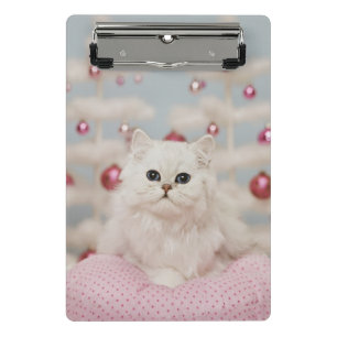 Minicarpeta De Pinza Gato persa que se sienta en la almohada rosada