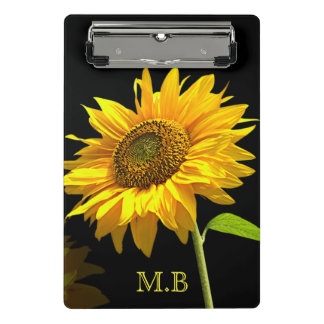 Minicarpeta De Pinza Girasol brillante sobre fondo negro