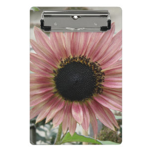 Minicarpeta De Pinza Girasol rosa pálido