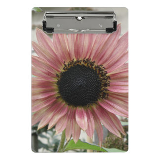 Minicarpeta De Pinza Girasol rosa pálido