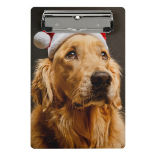 Minicarpeta De Pinza Golden retriever que presenta para su navidad