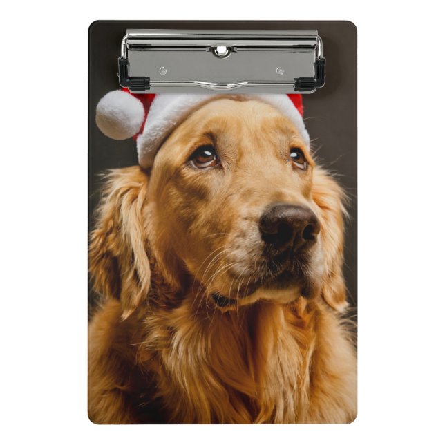 Minicarpeta De Pinza Golden retriever que presenta para su navidad (Anverso)