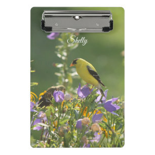 Minicarpeta De Pinza Goldfinch en una flor harebell