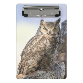 Minicarpeta De Pinza Gran búho de cuernos - mirándole mini tablero