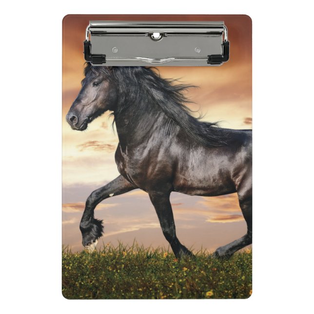 Minicarpeta De Pinza Hermoso caballo negro (Anverso)