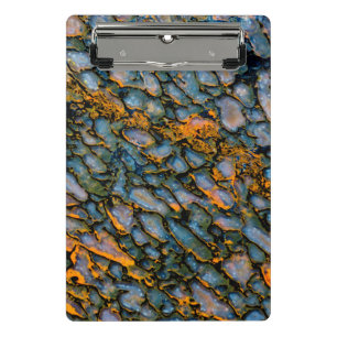 Minicarpeta De Pinza Hueso de dinosaurio Petrificado