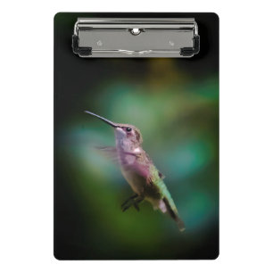 Minicarpeta De Pinza Hummingbird - Fotografía original