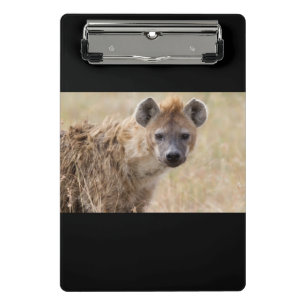 Minicarpeta De Pinza Hyena
