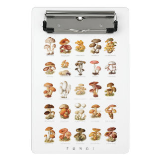 Minicarpeta De Pinza ilustracion de ungüentos comestibles no comestible