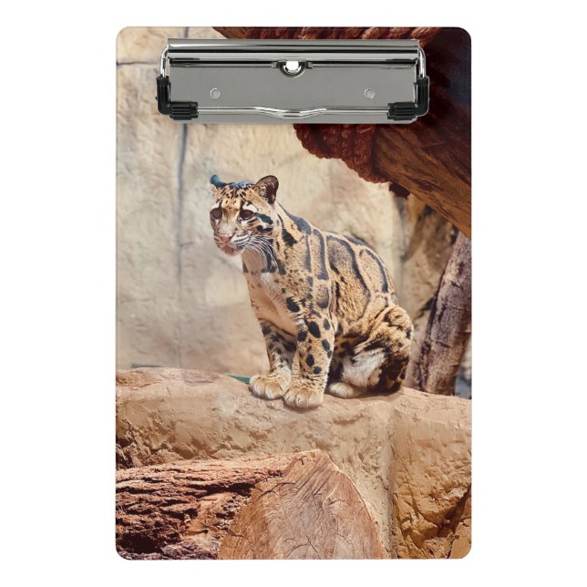Minicarpeta De Pinza imagen de leopardo nublado naturaleza vida salvaje (Anverso)