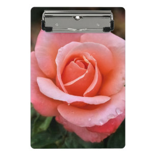 Minicarpeta De Pinza Impresión de arte botánico Rosa romántico