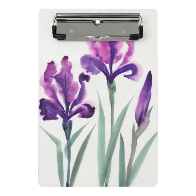 Minicarpeta De Pinza Iris (Anverso)