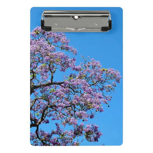 Minicarpeta De Pinza Jacaranda (Anverso)