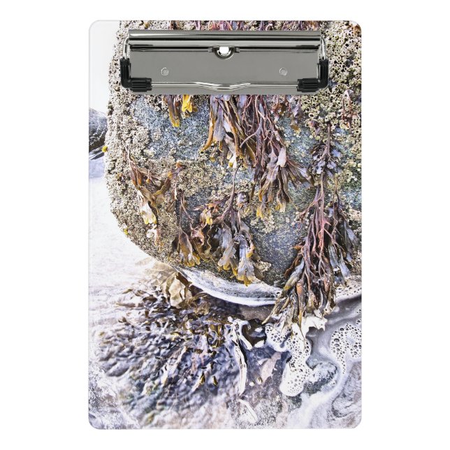 MINICARPETA DE PINZA LA PLAYA (Anverso)