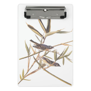 Minicarpeta De Pinza Las aves solitarias del Vireo Flycatcher de Audubo