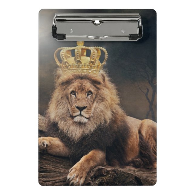 Minicarpeta De Pinza León (Anverso)