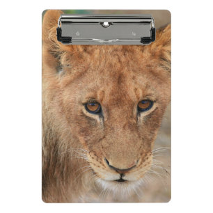 Minicarpeta De Pinza León Cub