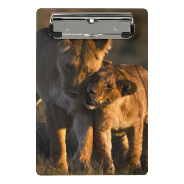Minicarpeta De Pinza León Cub y madre (Anverso)