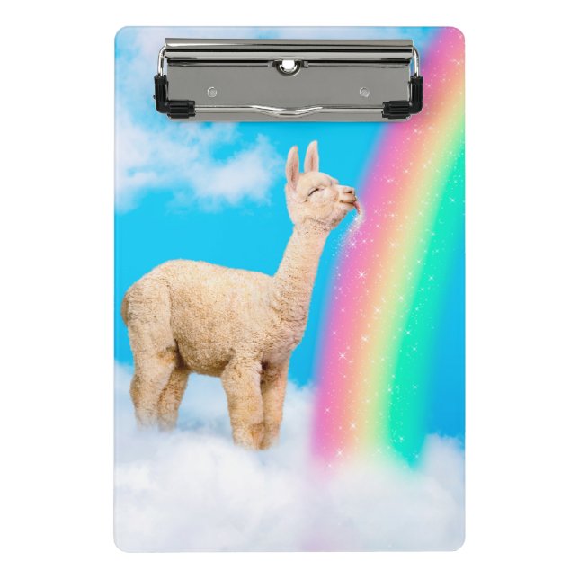 Minicarpeta De Pinza Llama: Arcoiris golpeando (Anverso)