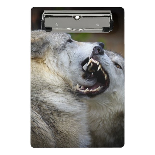 Minicarpeta De Pinza Lucha del lobo (Anverso)