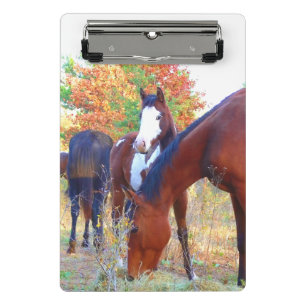 Minicarpeta De Pinza Mini tablero del caballo hermoso