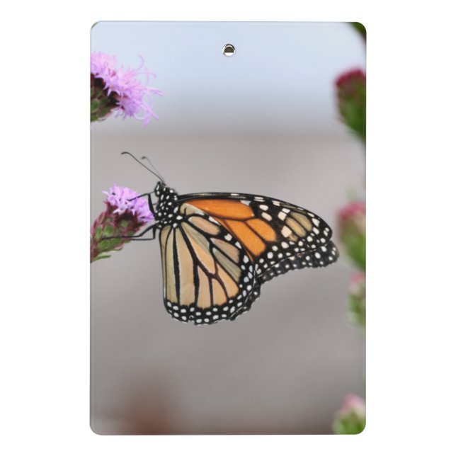 Minicarpeta De Pinza Miniportapapeles de monarca (Reverso)