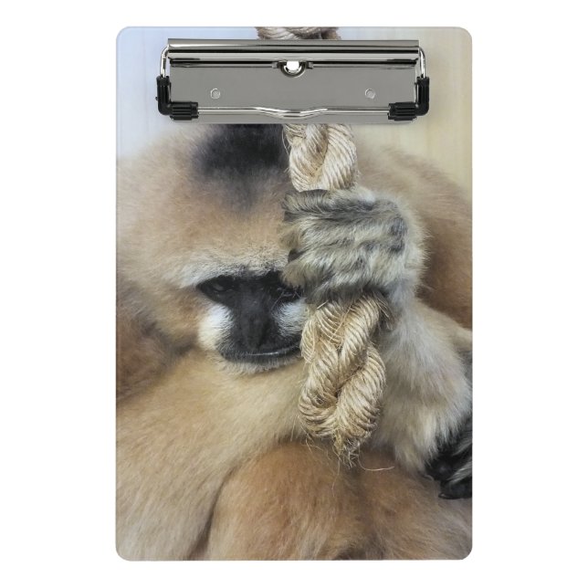 MINICARPETA DE PINZA MONKEY (Anverso)