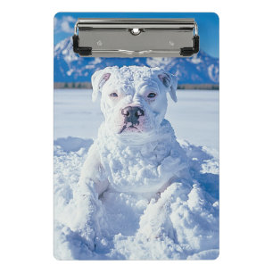 Minicarpeta De Pinza Navidades Pitbull Dog Snowman