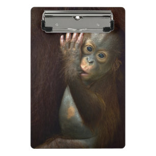 Minicarpeta De Pinza Orangután