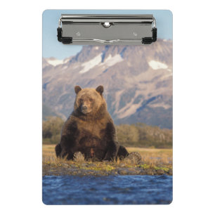 Minicarpeta De Pinza oso pardo, Ursus arctos, oso grizzly, Ursus
