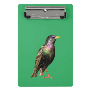 Minicarpeta De Pinza Pájaro de estriba de pelo