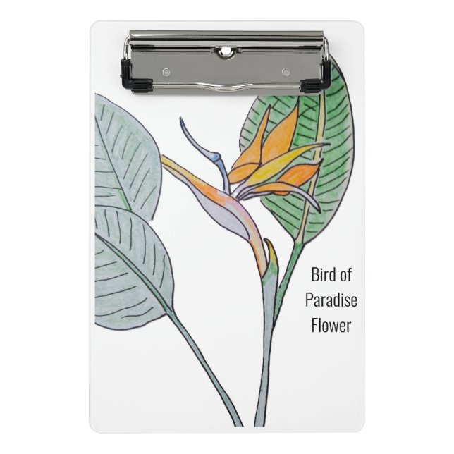 Minicarpeta De Pinza Pájaro de la flor del paraíso (Anverso)