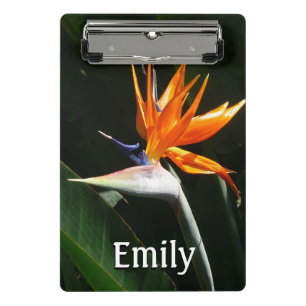 Minicarpeta De Pinza Pájaro del Naranja del paraíso Flor tropical