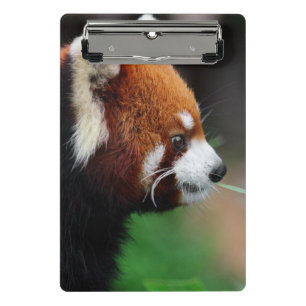 Minicarpeta De Pinza Panda roja