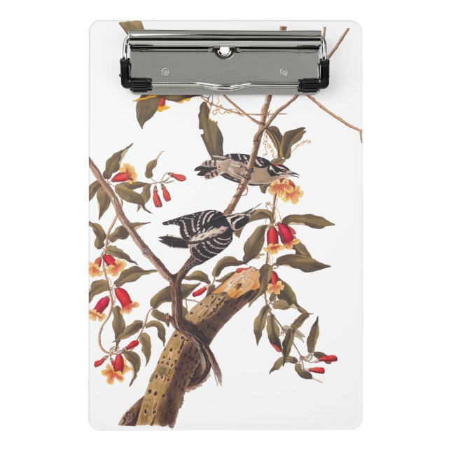 Minicarpeta De Pinza Pareja Audubon Downy Woodpecker con flores (Anverso)