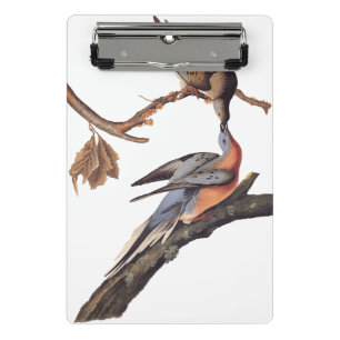 Minicarpeta De Pinza Pareja auduónica de cirujanos pasajeros besándose