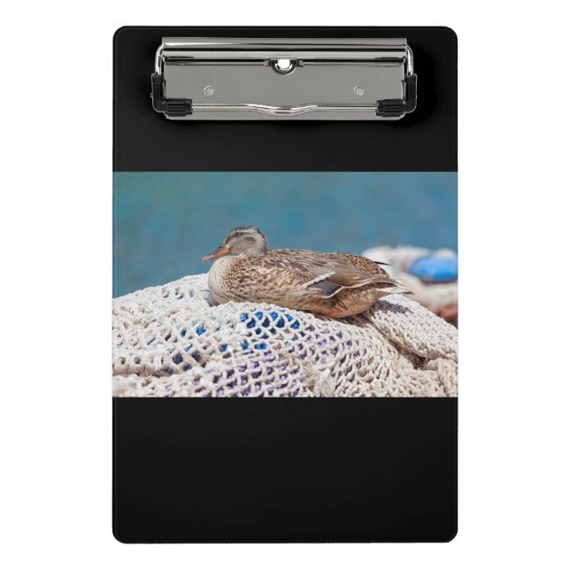 Minicarpeta De Pinza Pato en desuso (Anverso)