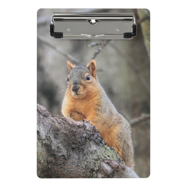 Minicarpeta De Pinza Pensivo (Anverso)