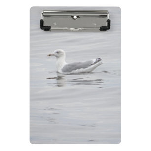 Minicarpeta De Pinza Pequeña gaviota