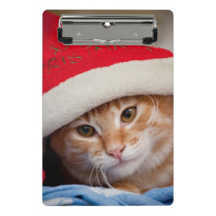 Minicarpeta De Pinza Pequeño gatito en gorra rojo del navidad