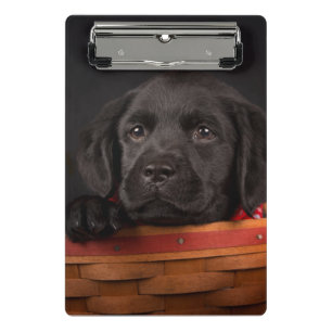 Minicarpeta De Pinza Perrito negro del labrador retriever en una cesta